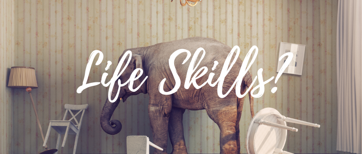 There's an Elephant in the Room with our School System